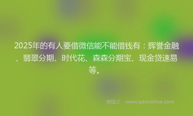2025年的有人要借微信能不能借钱有：辉誉金融、翡翠分期、时代花、森森分期宝、现金贷速易等。