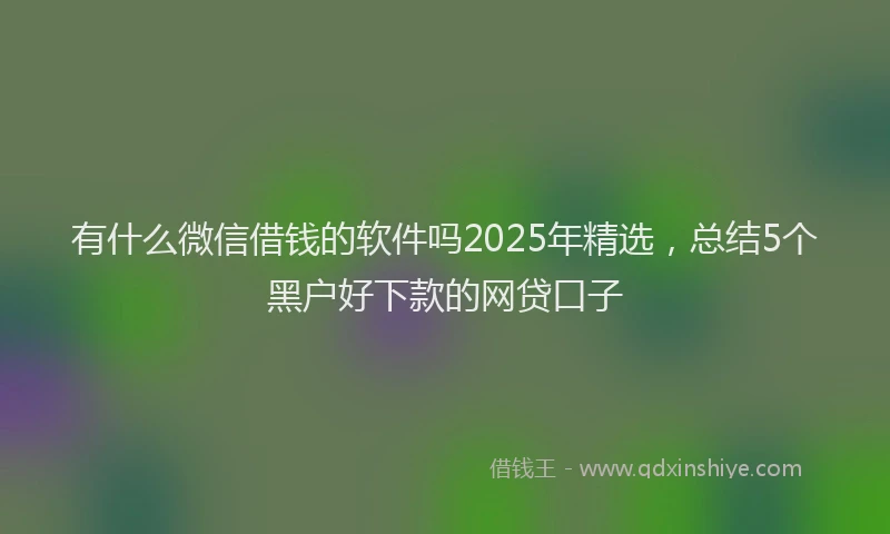 有什么微信借钱的软件吗2025年精选，总结5个黑户好下款的网贷口子