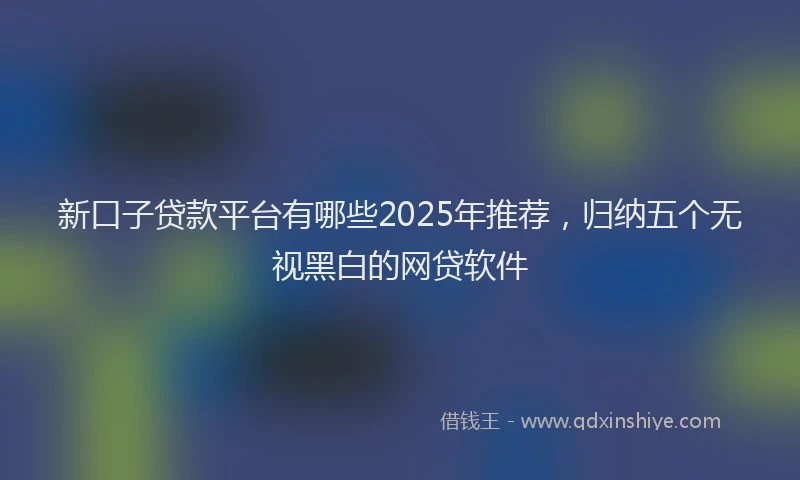 新口子贷款平台有哪些2025年推荐，归纳五个无视黑白的网贷软件