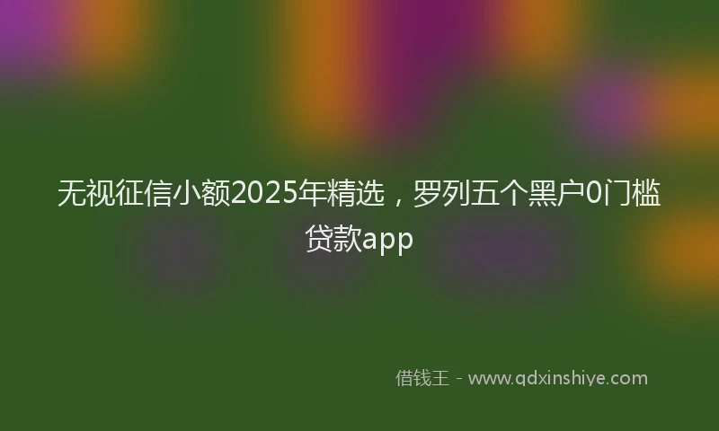 无视征信小额2025年精选，罗列五个黑户0门槛贷款app