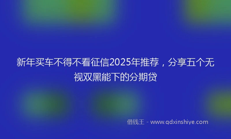 新年买车不得不看征信2025年推荐，分享五个无视双黑能下的分期贷