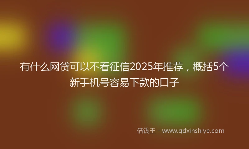 有什么网贷可以不看征信2025年推荐，概括5个新手机号容易下款的口子