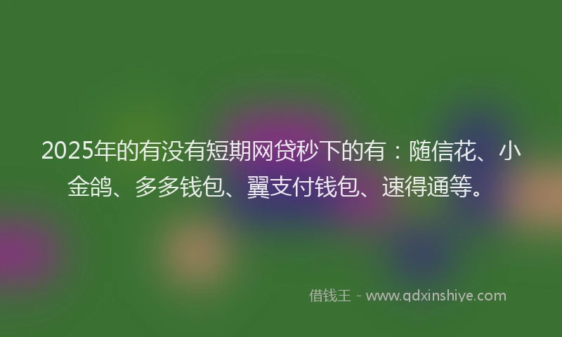 2025年的有没有短期网贷秒下的有：随信花、小金鸽、多多钱包、翼支付钱包、速得通等。
