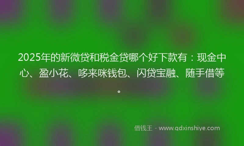 2025年的新微贷和税金贷哪个好下款有：现金中心、盈小花、哆来咪钱包、闪贷宝融、随手借等。