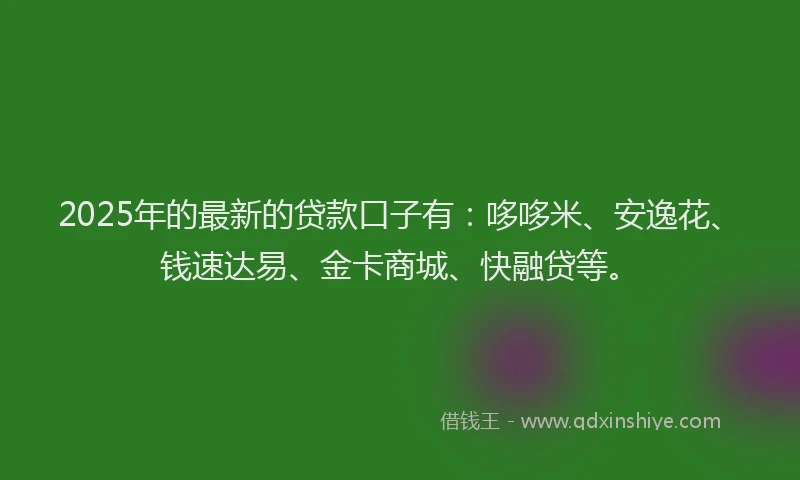 2025年的最新的贷款口子有：哆哆米、安逸花、钱速达易、金卡商城、快融贷等。