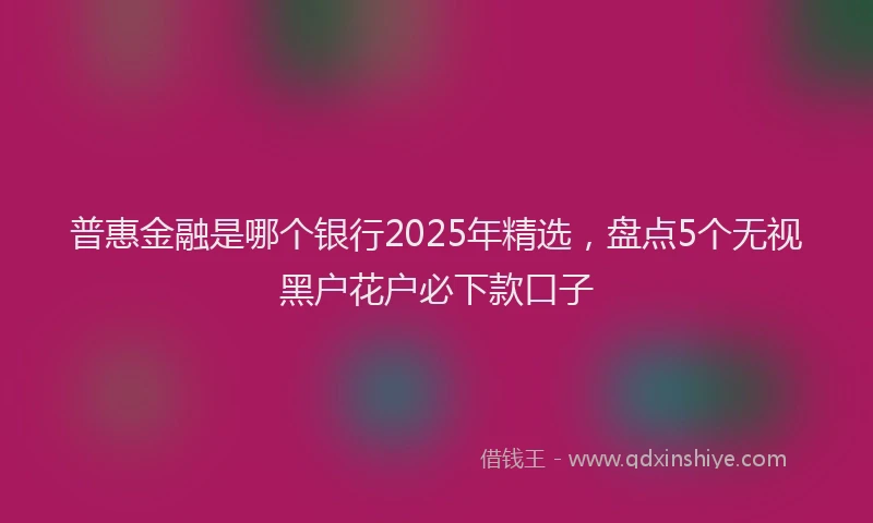 普惠金融是哪个银行2025年精选，盘点5个无视黑户花户必下款口子