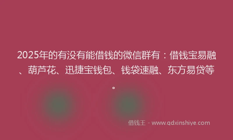 2025年的有没有能借钱的微信群有：借钱宝易融、葫芦花、迅捷宝钱包、钱袋速融、东方易贷等。