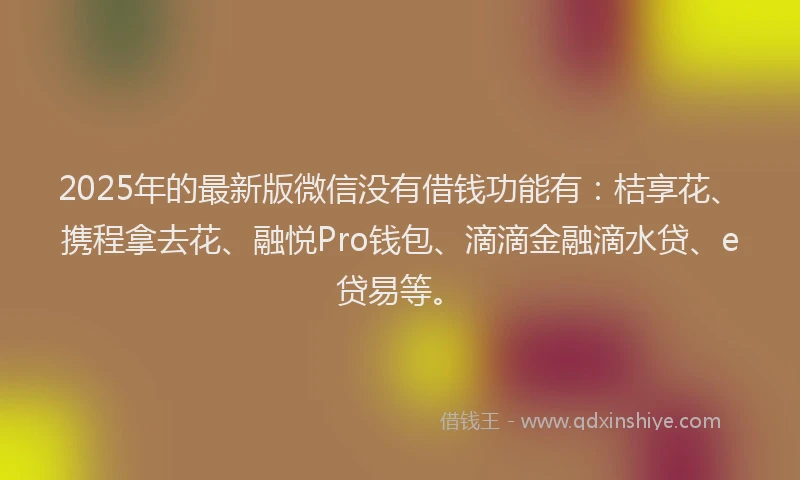 2025年的最新版微信没有借钱功能有：桔享花、携程拿去花、融悦Pro钱包、滴滴金融滴水贷、e贷易等。