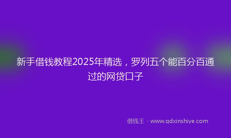 新手借钱教程2025年精选，罗列五个能百分百通过的网贷口子