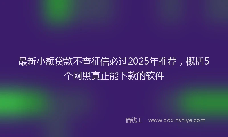 最新小额贷款不查征信必过2025年推荐，概括5个网黑真正能下款的软件