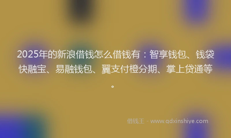 2025年的新浪借钱怎么借钱有：智享钱包、钱袋快融宝、易融钱包、翼支付橙分期、掌上贷通等。