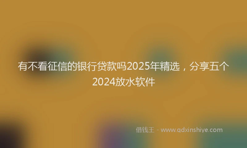 有不看征信的银行贷款吗2025年精选，分享五个2024放水软件