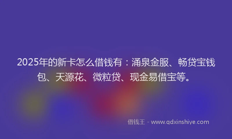 2025年的新卡怎么借钱有：涌泉金服、畅贷宝钱包、天源花、微粒贷、现金易借宝等。