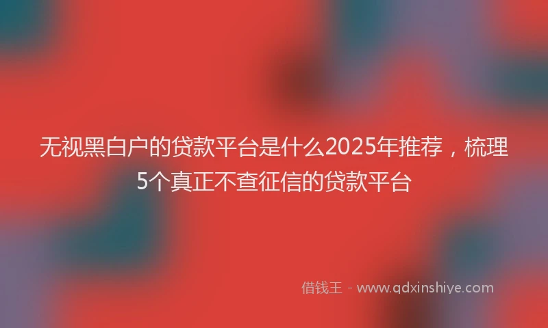 无视黑白户的贷款平台是什么2025年推荐，梳理5个真正不查征信的贷款平台