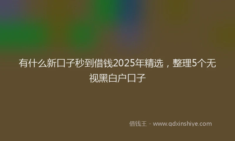 有什么新口子秒到借钱2025年精选，整理5个无视黑白户口子