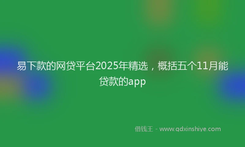 易下款的网贷平台2025年精选，概括五个11月能贷款的app