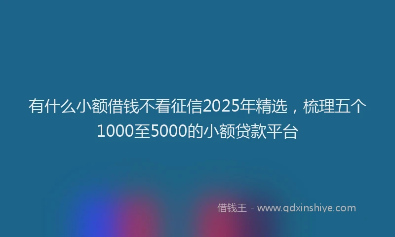 有什么小额借钱不看征信2025年精选，梳理五个1000至5000的小额贷款平台