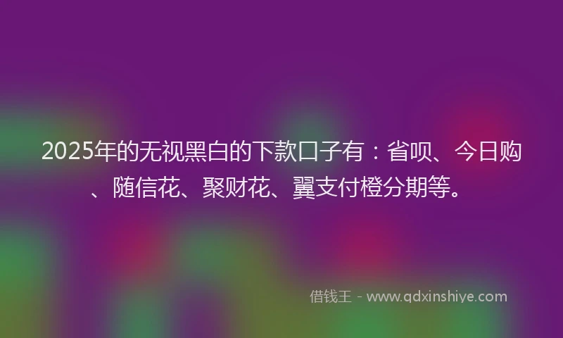 2025年的无视黑白的下款口子有：省呗、今日购、随信花、聚财花、翼支付橙分期等。