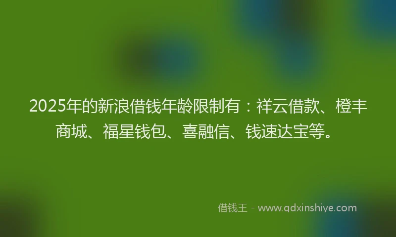 2025年的新浪借钱年龄限制有：祥云借款、橙丰商城、福星钱包、喜融信、钱速达宝等。