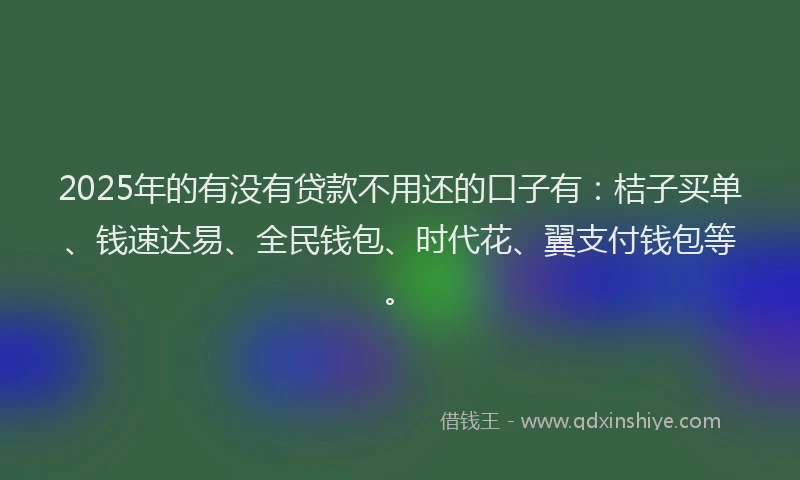 2025年的有没有贷款不用还的口子有：桔子买单、钱速达易、全民钱包、时代花、翼支付钱包等。