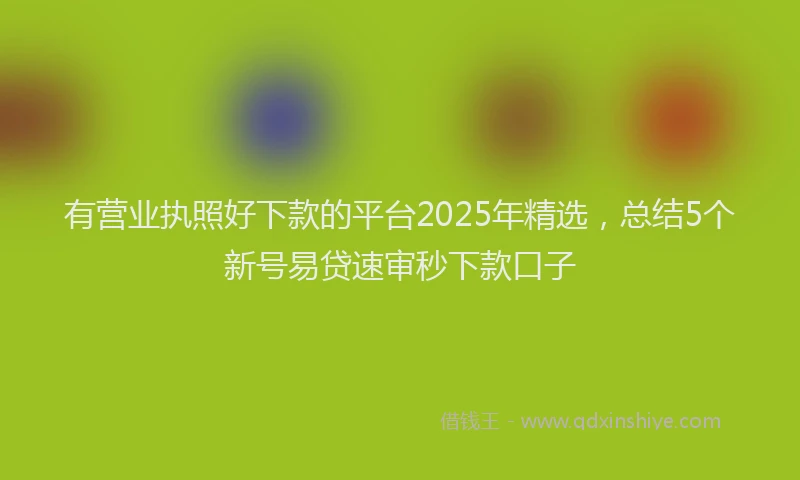 有营业执照好下款的平台2025年精选，总结5个新号易贷速审秒下款口子