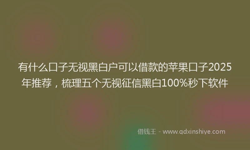 有什么口子无视黑白户可以借款的苹果口子2025年推荐，梳理五个无视征信黑白100%秒下软件