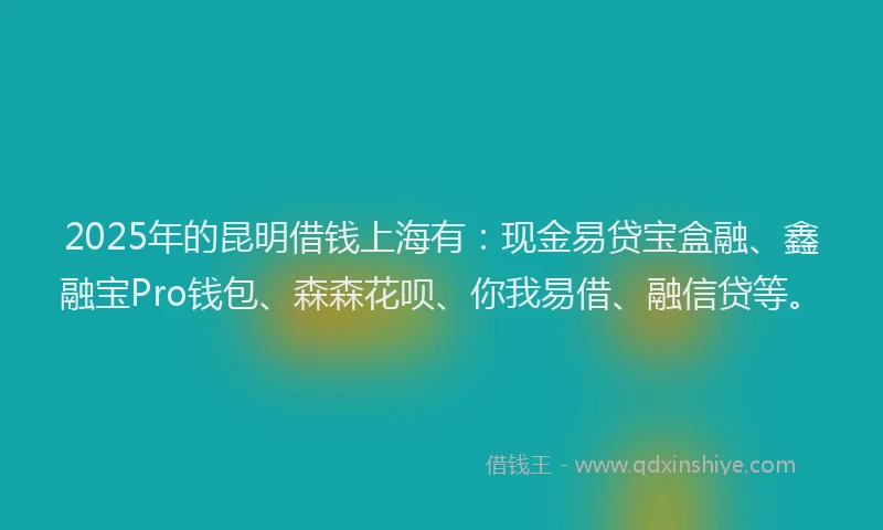 2025年的昆明借钱上海有：现金易贷宝盒融、鑫融宝Pro钱包、森森花呗、你我易借、融信贷等。