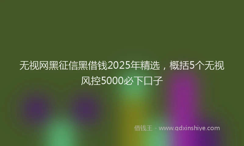 无视网黑征信黑借钱2025年精选，概括5个无视风控5000必下口子
