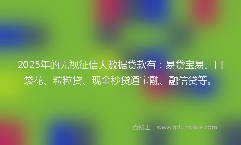 2025年的无视征信大数据贷款有：易贷宝易、口袋花、粒粒贷、现金秒贷通宝融、融信贷等。