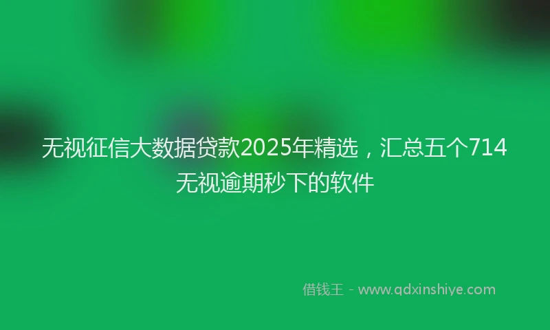 无视征信大数据贷款2025年精选，汇总五个714无视逾期秒下的软件