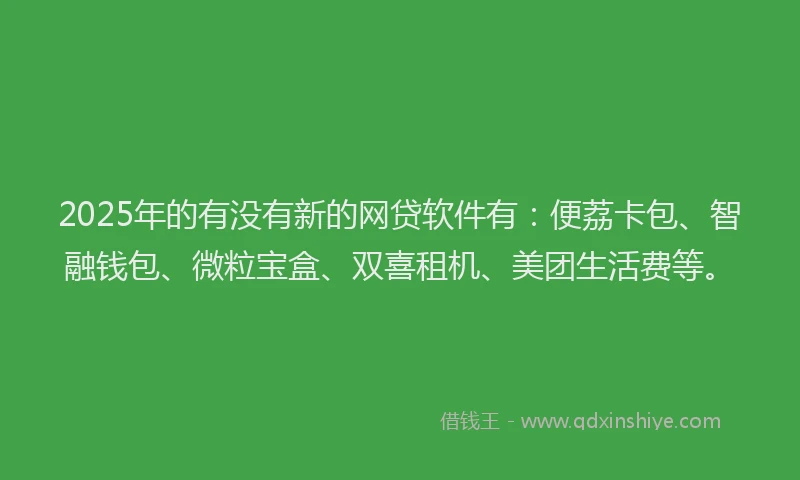 2025年的有没有新的网贷软件有：便荔卡包、智融钱包、微粒宝盒、双喜租机、美团生活费等。