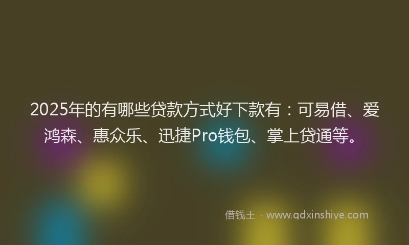 2025年的有哪些贷款方式好下款有：可易借、爱鸿森、惠众乐、迅捷Pro钱包、掌上贷通等。