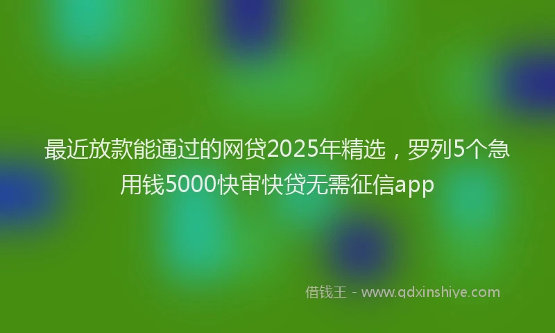 最近放款能通过的网贷2025年精选，罗列5个急用钱5000快审快贷无需征信app