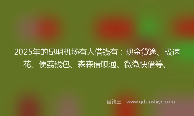 2025年的昆明机场有人借钱有：现金贷途、极速花、便荔钱包、森森借呗通、微微快借等。