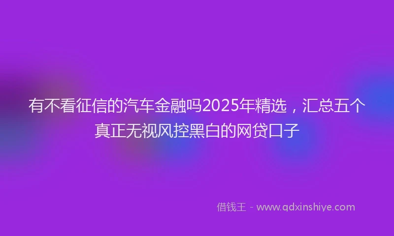 有不看征信的汽车金融吗2025年精选，汇总五个真正无视风控黑白的网贷口子