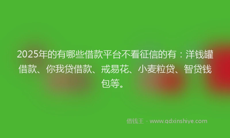 2025年的有哪些借款平台不看征信的有：洋钱罐借款、你我贷借款、戒易花、小麦粒贷、智贷钱包等。