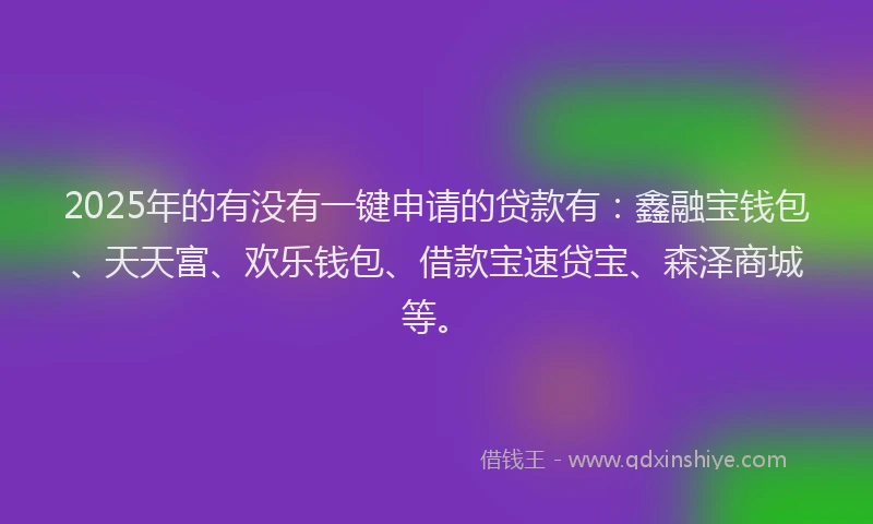 2025年的有没有一键申请的贷款有：鑫融宝钱包、天天富、欢乐钱包、借款宝速贷宝、森泽商城等。