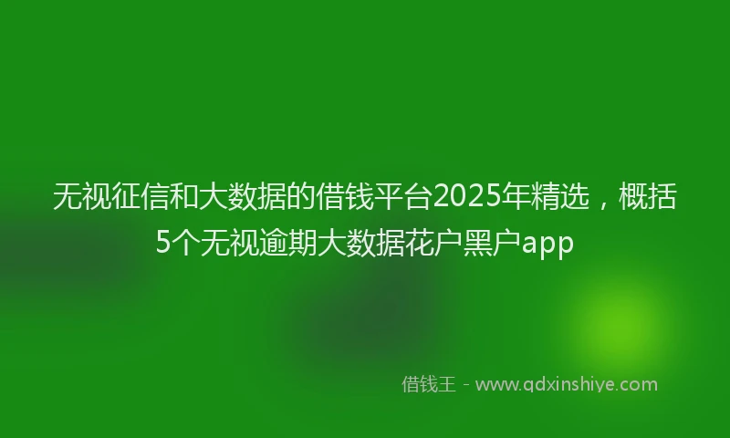无视征信和大数据的借钱平台2025年精选，概括5个无视逾期大数据花户黑户app