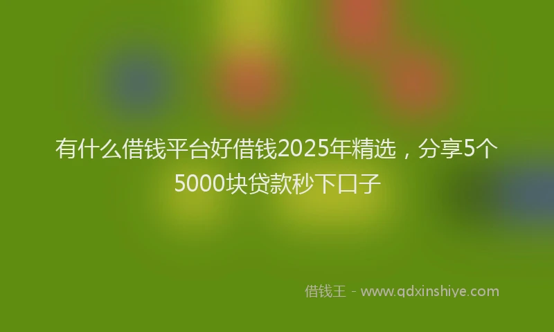 有什么借钱平台好借钱2025年精选，分享5个5000块贷款秒下口子