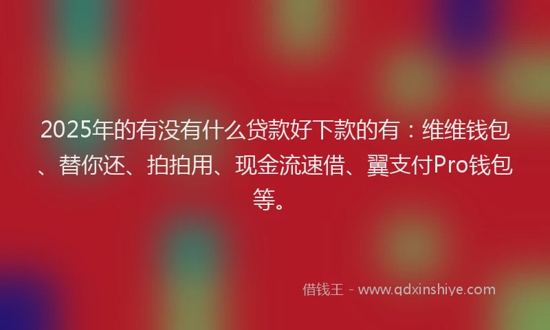 2025年的有没有什么贷款好下款的有：维维钱包、替你还、拍拍用、现金流速借、翼支付Pro钱包等。