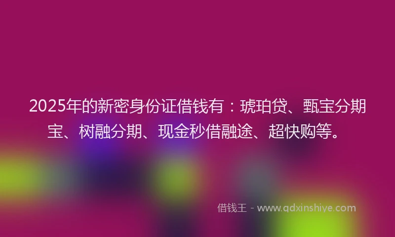 2025年的新密身份证借钱有：琥珀贷、甄宝分期宝、树融分期、现金秒借融途、超快购等。