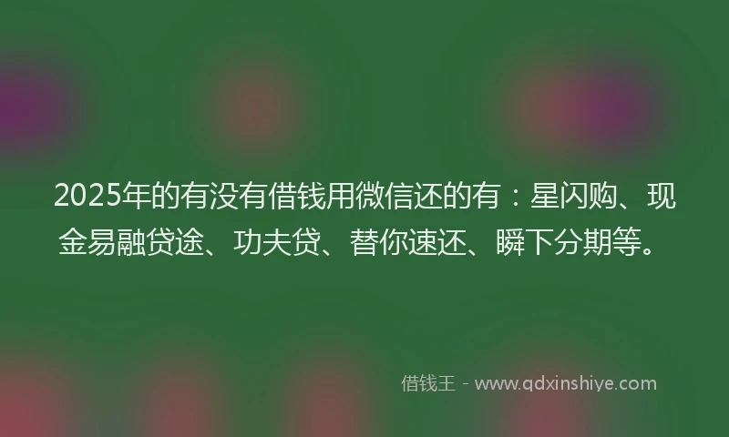2025年的有没有借钱用微信还的有：星闪购、现金易融贷途、功夫贷、替你速还、瞬下分期等。
