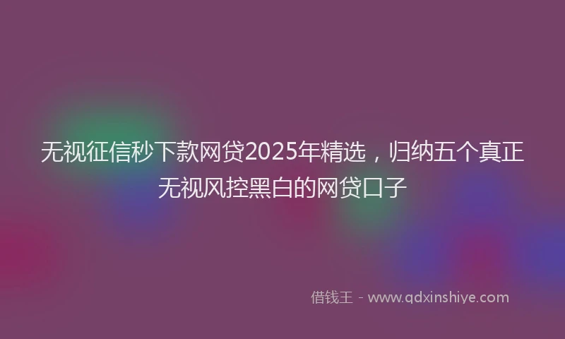 无视征信秒下款网贷2025年精选，归纳五个真正无视风控黑白的网贷口子