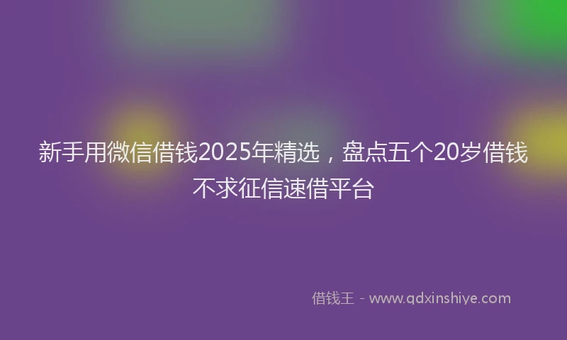 新手用微信借钱2025年精选，盘点五个20岁借钱不求征信速借平台