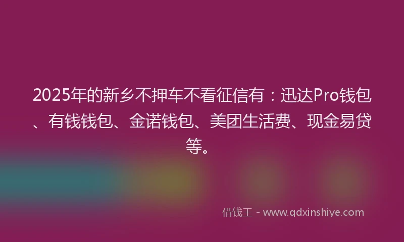 2025年的新乡不押车不看征信有：迅达Pro钱包、有钱钱包、金诺钱包、美团生活费、现金易贷等。