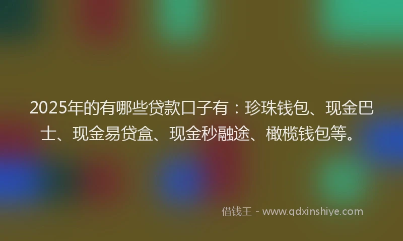 2025年的有哪些贷款口子有：珍珠钱包、现金巴士、现金易贷盒、现金秒融途、橄榄钱包等。