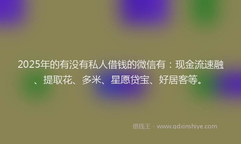 2025年的有没有私人借钱的微信有：现金流速融、提取花、多米、星愿贷宝、好居客等。