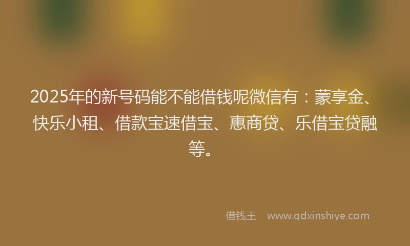 2025年的新号码能不能借钱呢微信有：蒙享金、快乐小租、借款宝速借宝、惠商贷、乐借宝贷融等。