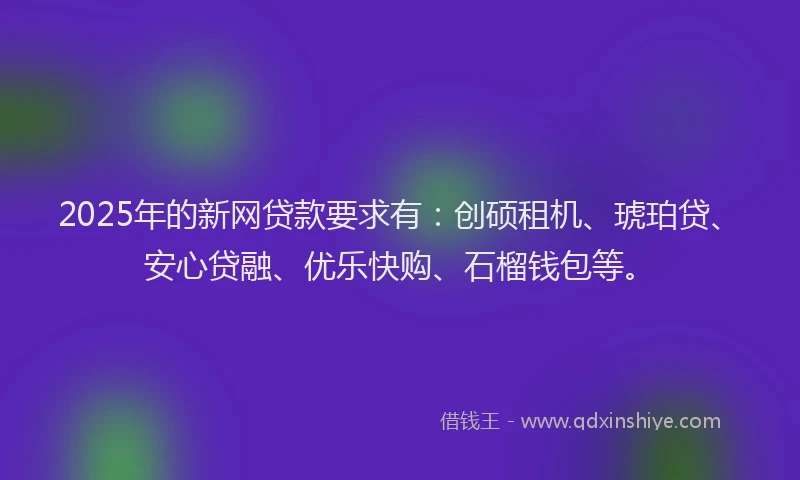 2025年的新网贷款要求有：创硕租机、琥珀贷、安心贷融、优乐快购、石榴钱包等。