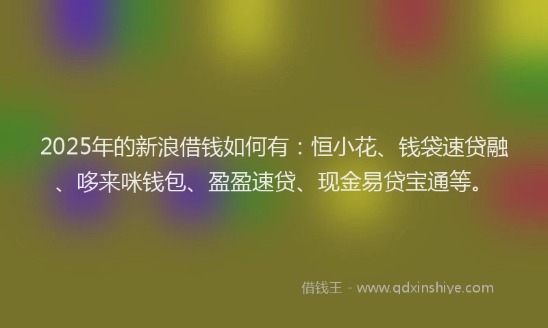 2025年的新浪借钱如何有：恒小花、钱袋速贷融、哆来咪钱包、盈盈速贷、现金易贷宝通等。